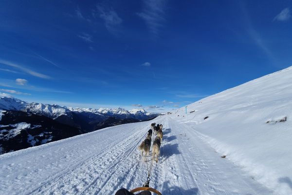 20201222-11210866F19955-03A7-BBCF-3382-B7DE0811F270.jpg