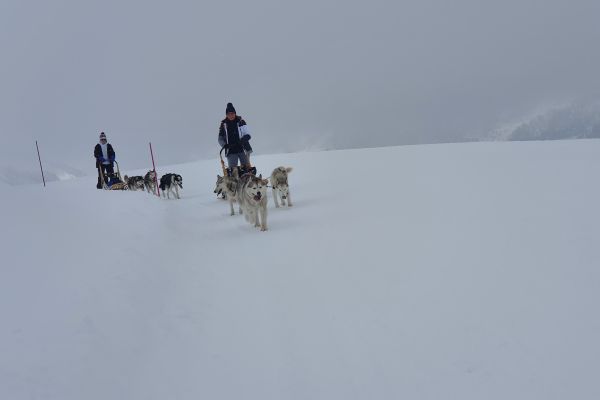20210320-1138264539E453-6882-0138-3DE7-C450492052E4.jpg