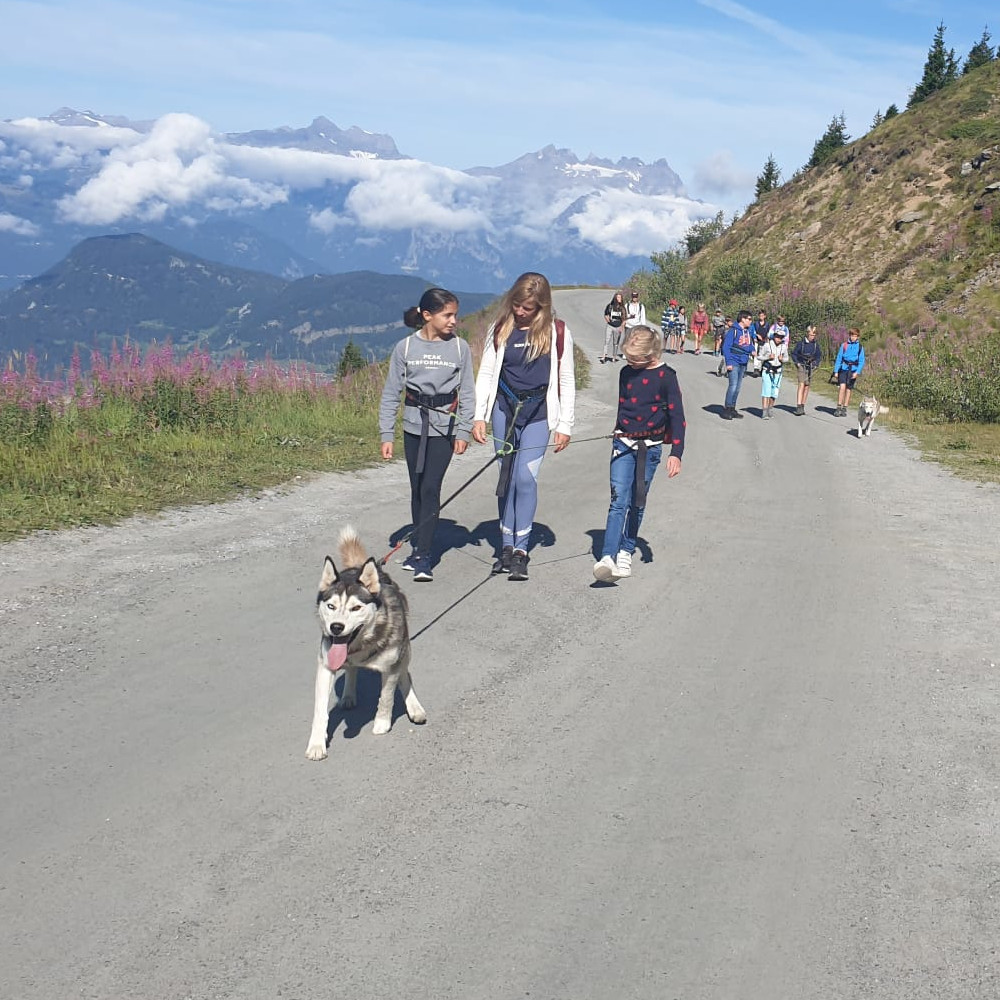 Husky Hike