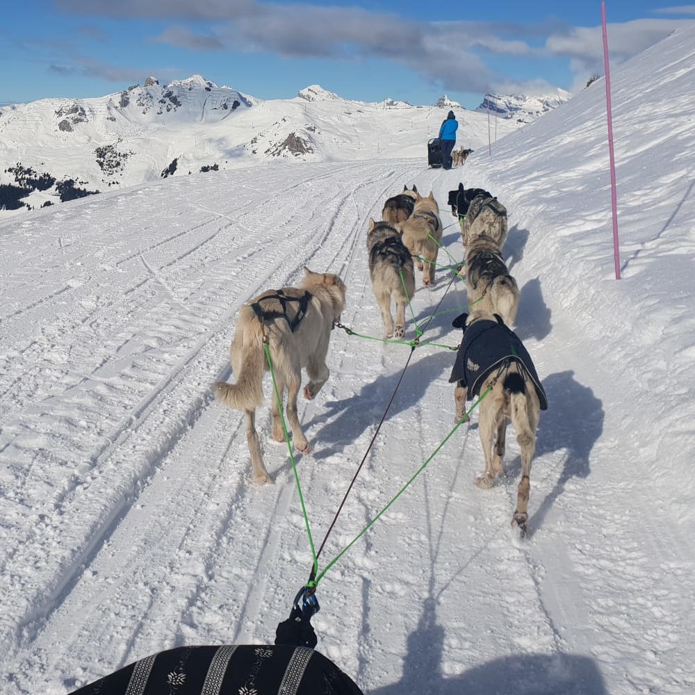 Sled Ride