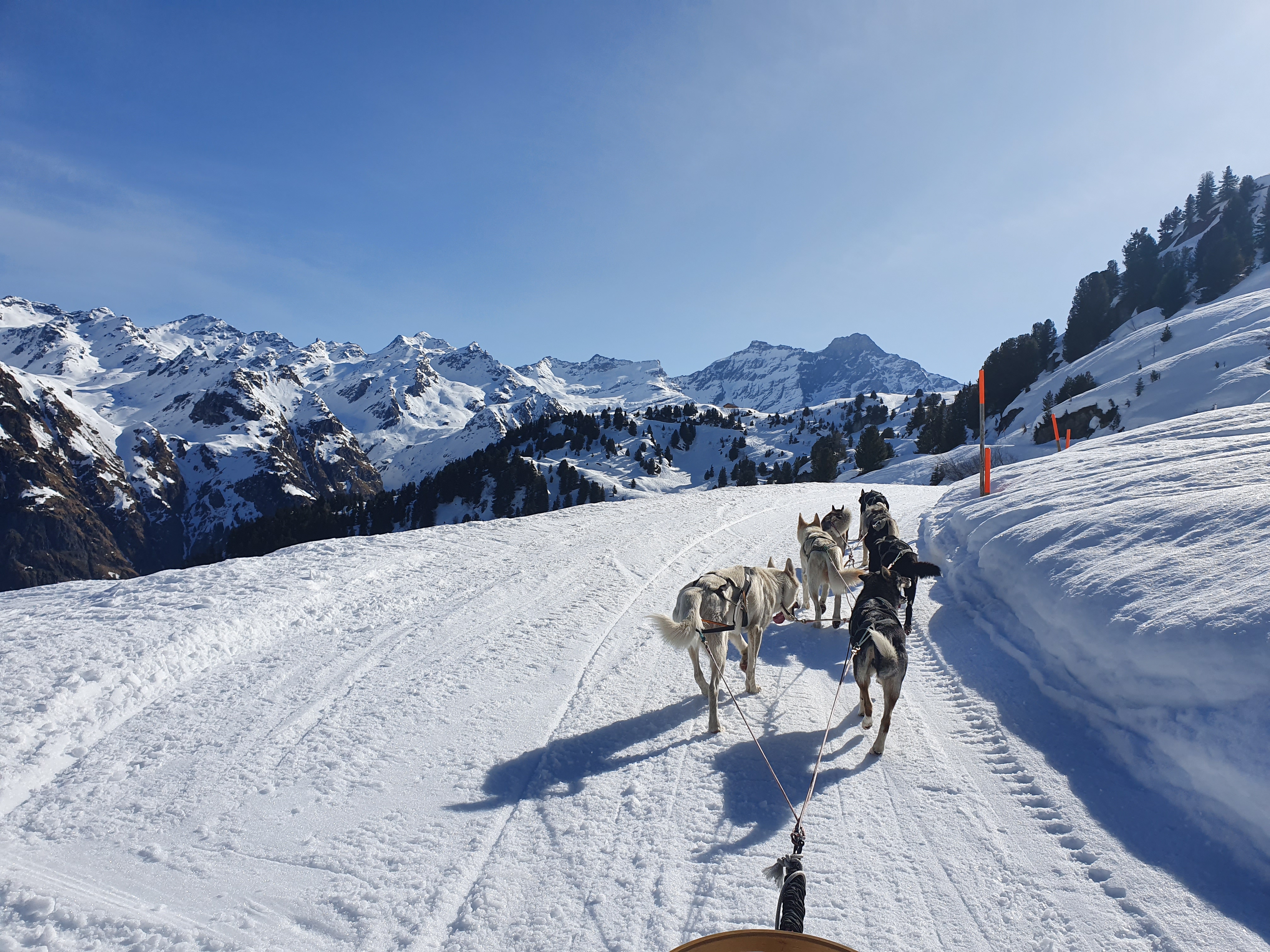 Tour Panoramique